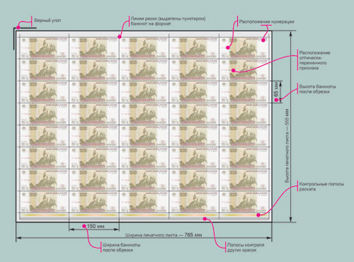 Рис. 2. Схема печатного листа банкноты номиналом 100 руб.
