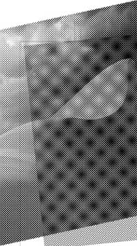 Рис. 8. Изображение с муаром: слева на растрированную полутоновую иллюстрацию наложена однородная растровая структура; справа эта структура повернута на 5° против часовой стрелки