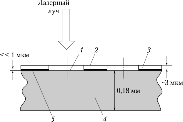 Рис. 1. Структура формного материала для печатной машины Heidelberg Quickmaster DI 46-4