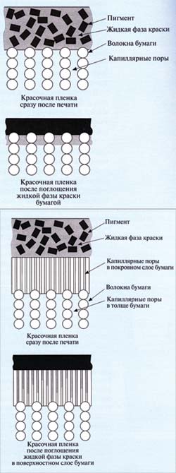 Впитывание бумагой — процесс окисления: вверху — офсетная бумага; внизу — мелованная бумага
