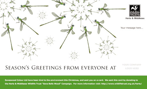 Рис. 1. «Сделайте благотворительный взнос и доброе дело для окружающей среды, отправив эту рождественскую электронную открытку», — призывает Фонд дикой природы.