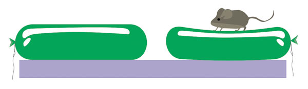 Рис. 2. Исходное изображение воздушного шара (слева) и результат деформации
