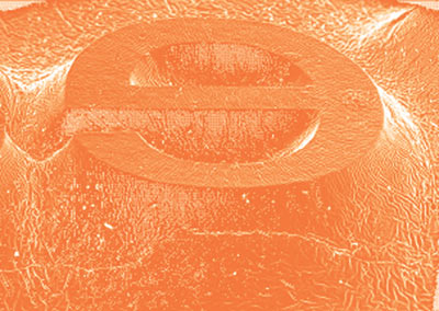 Рис. 1. Микрофотография поверхности формы флексографской печати