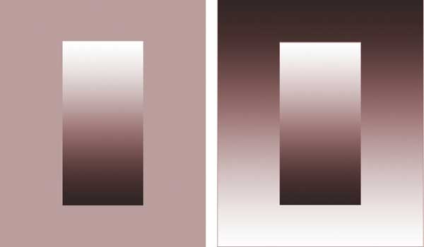 Рис. 7. Зависимость восприятия цвета от контраста: верхняя (нижняя) часть внутреннего прямоугольника, находящегося справа, кажется значительно светлее (темнее) такой же части прямоугольника, расположенного слева