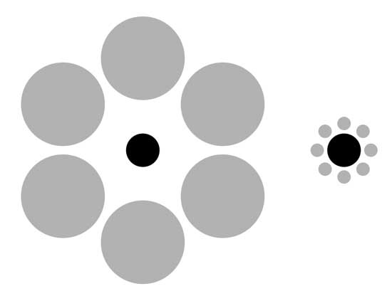 Рис. 13. Классическая иллюзия искажения размера объекта: внутренние круги в обоих случаях одинаковы