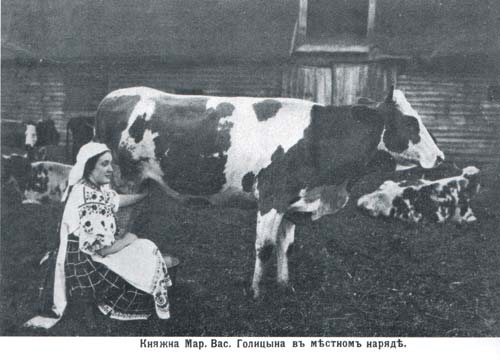 Фото женщин высшего света: княжны Голицыной за дойкой коровы (а) и балерины Матильды Кшесинской в своих аппартаментах (б)