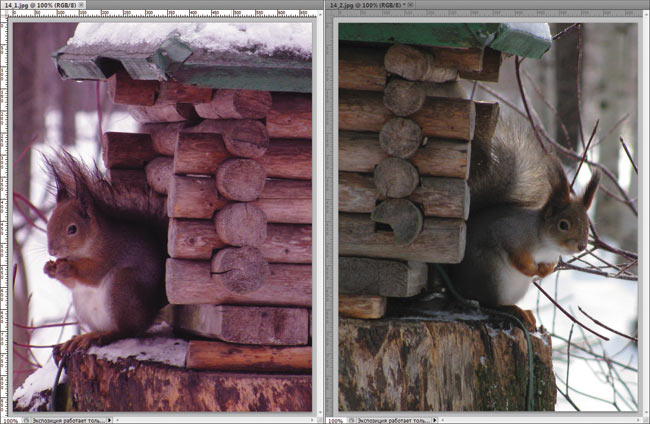 Рис. 3. Исходная фотография, имеющая цветовой сдвиг (слева), и фотография, используемая в качестве источника