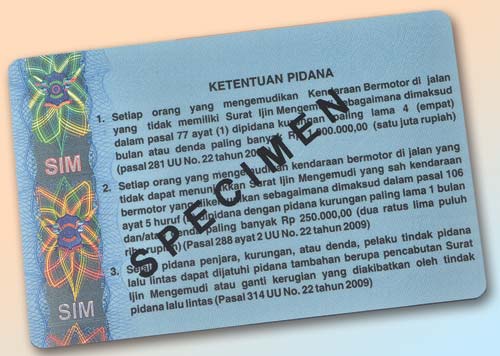 Рис. 8. Кинеграмма STRIPE на обороте водительского удостоверения гражданина Индонезии