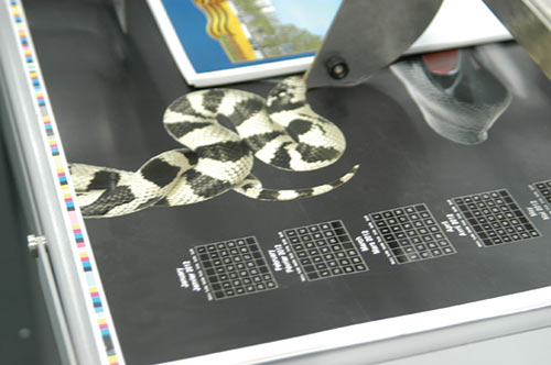 Рис. 5. Цифровая машина для сплошного и выборочного UV-лакирования JETvarnish и образец оформленной продукции