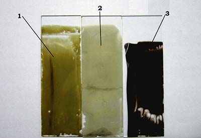 Рис. 1. Образцы с токопроводящей композицией без обработки (1) и после плазмохимической обработки 