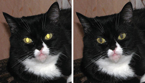 Рис. 8. Исходная фотография (слева) и результат удаления очень яркого блика в окне Устранение эффекта красных глаз 