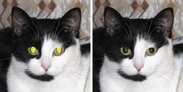 Рис. 12. Исходная фотография (слева) и удаление яркого блика в зрачке с помощью инструментов тоновой и цветовой коррекции 