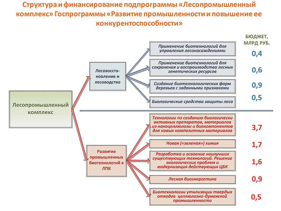 Курсовая работа: Целлюлозно-бумажная промышленность России и Брянской области