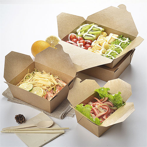 Бумажные коробки для упаковки различных видов готовых блюд