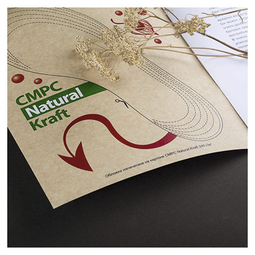 Обложка напечатана на картоне 
CMPC Natural Kraft