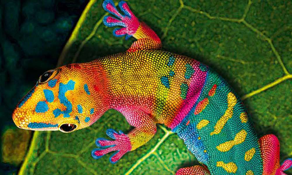 Новая серия красок от компании hubergroup