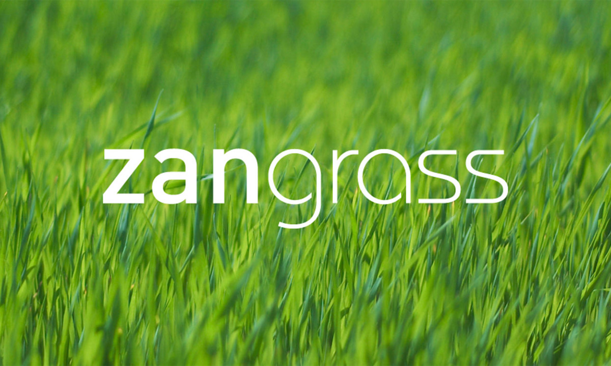 Компания Zanders представила свой новый материал Zangrass - немелованную травяную бумагу