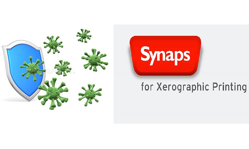 Agfa SYNAPS  Xerographic Matt (XM)