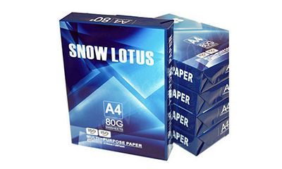 Snow Lotus